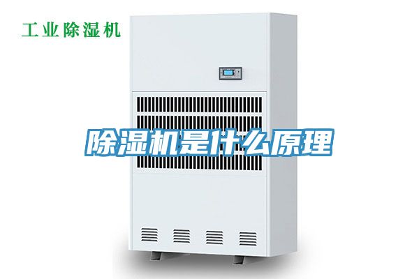 小黄片软件免费下载是什麽原理