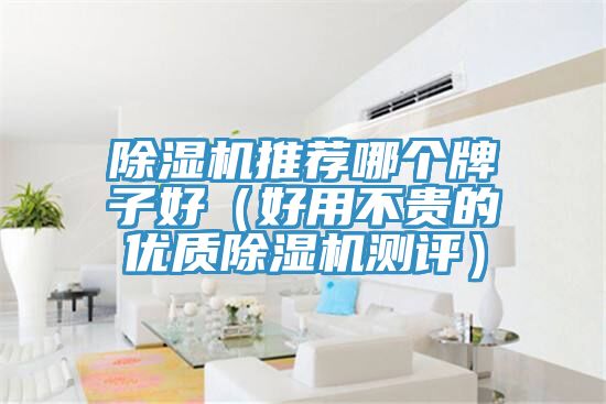 小黄片软件免费下载推薦哪個牌子好（好用不貴的優質小黄片软件免费下载測評）