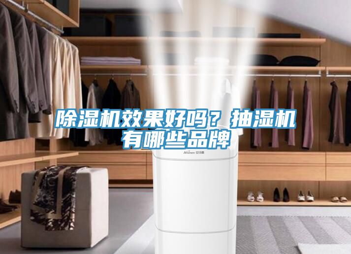 小黄片软件免费下载效果好嗎？抽濕機有哪些品牌