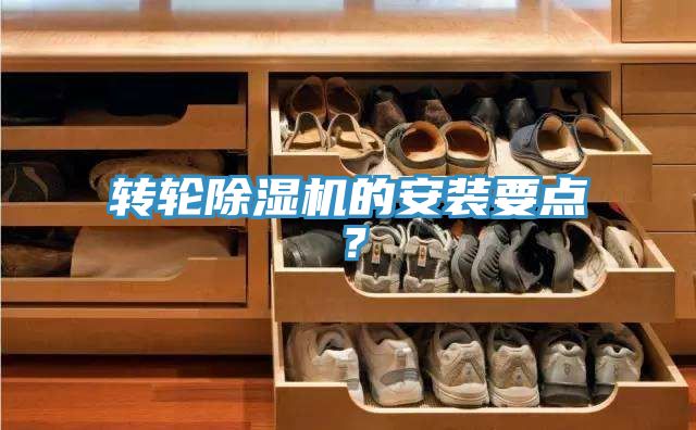 轉輪小黄片软件免费下载的安裝要點？