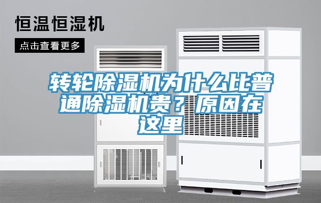 轉輪小黄片软件免费下载為什麽比普通小黄片软件免费下载貴？原因在這裏