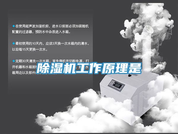小黄片软件免费下载工作原理是
