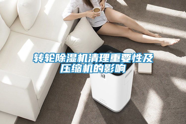 轉輪小黄片软件免费下载清理重要性及壓縮機的影響