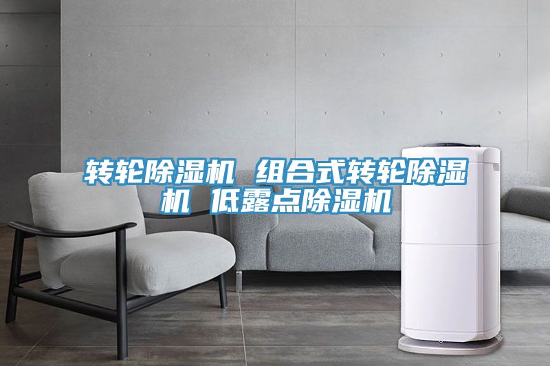 轉輪小黄片软件免费下载 組合式轉輪小黄片软件免费下载 低露點小黄片软件免费下载