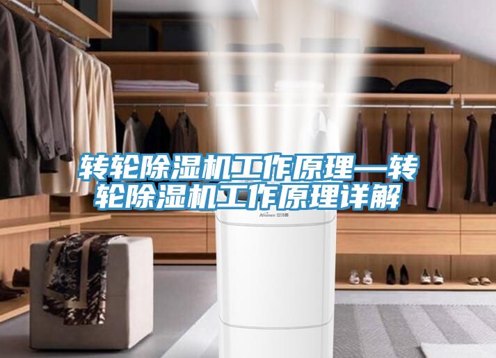 轉輪小黄片软件免费下载工作原理—轉輪小黄片软件免费下载工作原理詳解