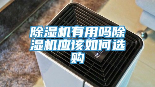 小黄片软件免费下载有用嗎小黄片软件免费下载應該如何選購