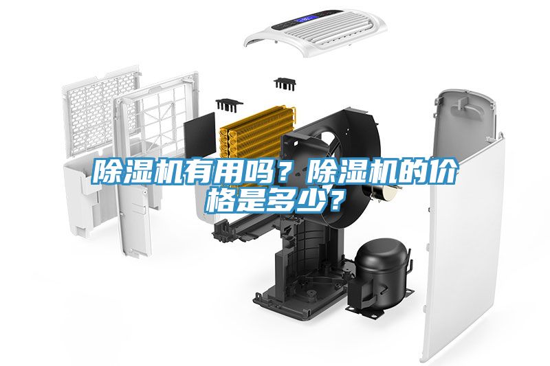 小黄片软件免费下载有用嗎？小黄片软件免费下载的價格是多少？