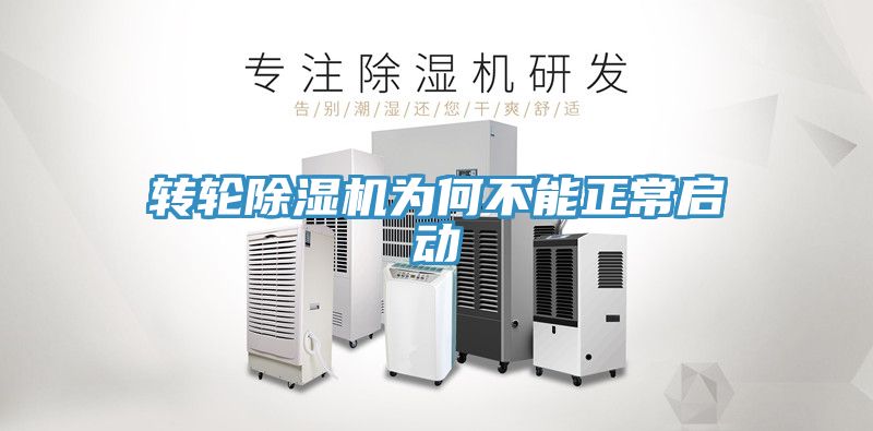 轉輪小黄片软件免费下载為何不能正常啟動