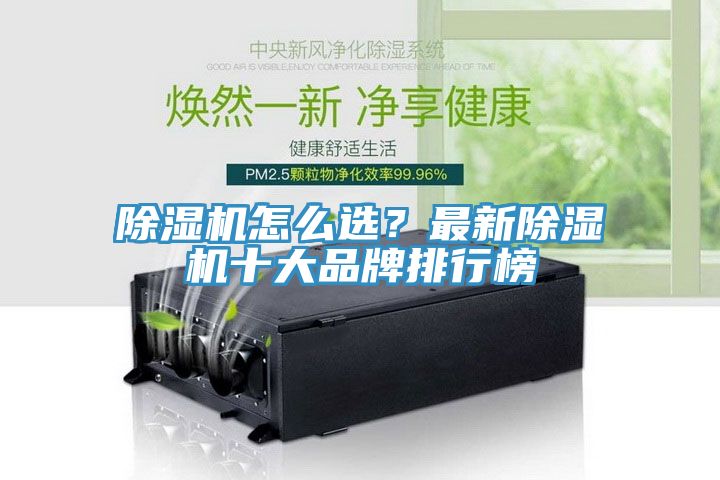 小黄片软件免费下载怎麽選？最新小黄片软件免费下载十大品牌排行榜
