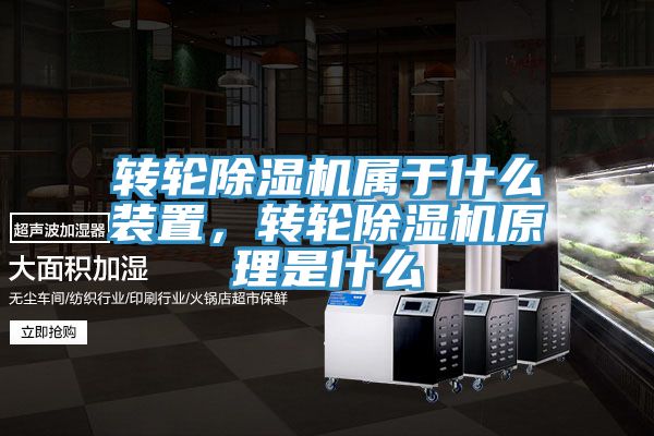 轉輪小黄片软件免费下载屬於什麽裝置，轉輪小黄片软件免费下载原理是什麽