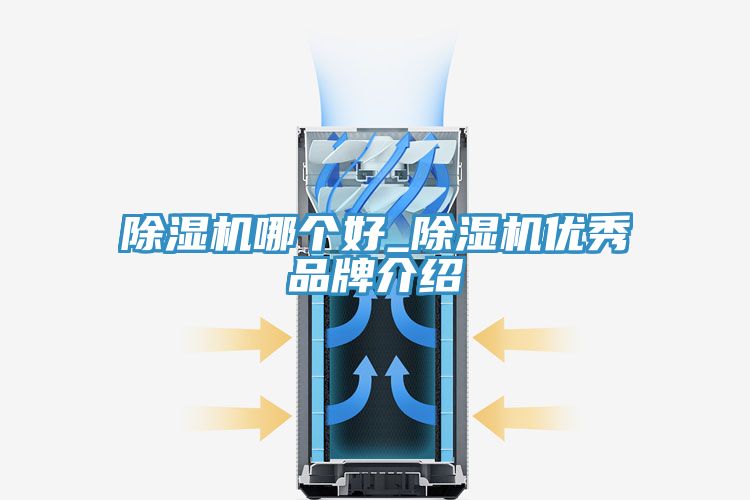 小黄片软件免费下载哪個好_小黄片软件免费下载優秀品牌介紹