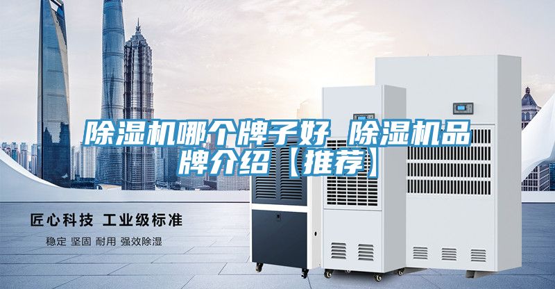 小黄片软件免费下载哪個牌子好 小黄片软件免费下载品牌介紹【推薦】