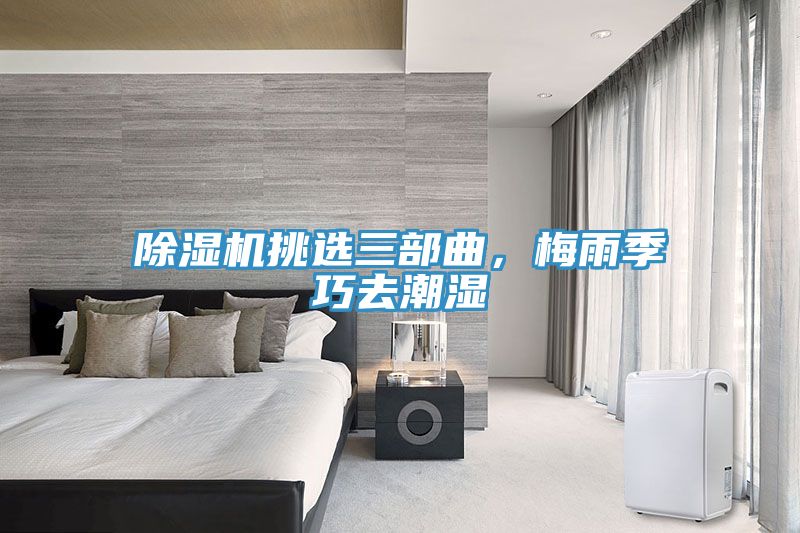 小黄片软件免费下载挑選三部曲，梅雨季巧去潮濕