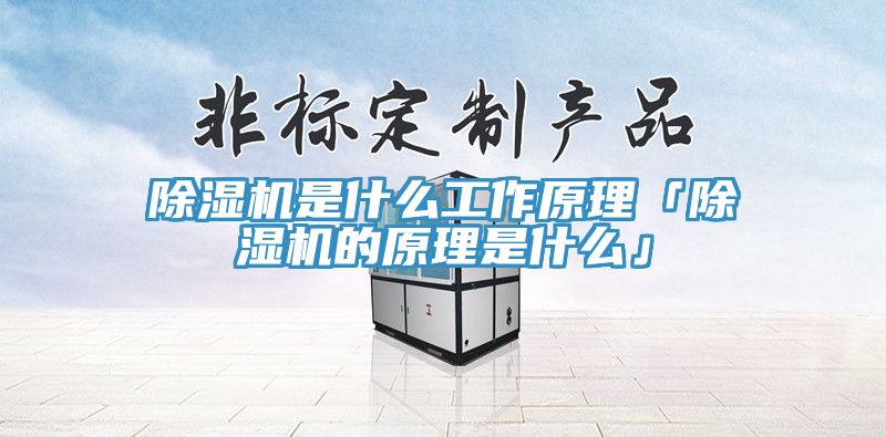 小黄片软件免费下载是什麽工作原理「小黄片软件免费下载的原理是什麽」