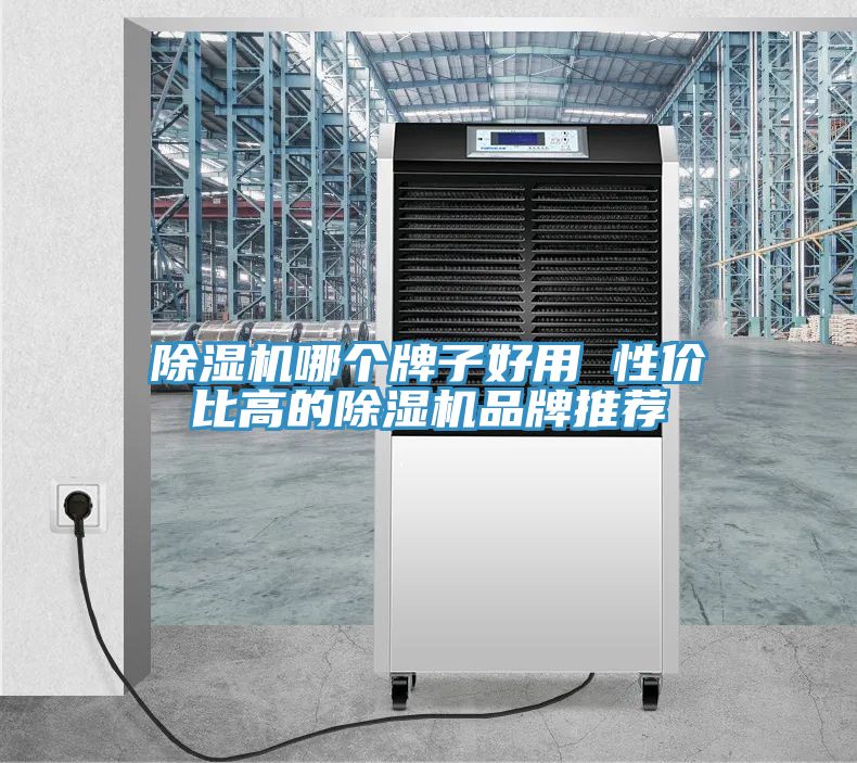 小黄片软件免费下载哪個牌子好用 性價比高的小黄片软件免费下载品牌推薦