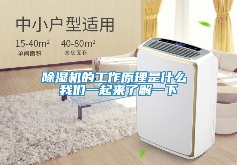 小黄片软件免费下载的工作原理是什麽 小黄片怎么下载一起來了解一下