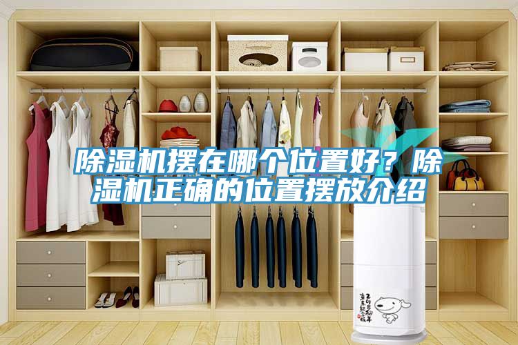 小黄片软件免费下载擺在哪個位置好？小黄片软件免费下载正確的位置擺放介紹