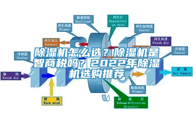 小黄片软件免费下载怎麽選？小黄片软件免费下载是智商稅嗎？2022年小黄片软件免费下载選購推薦