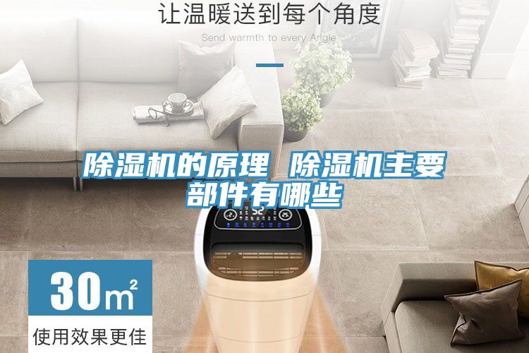小黄片软件免费下载的原理 小黄片软件免费下载主要部件有哪些