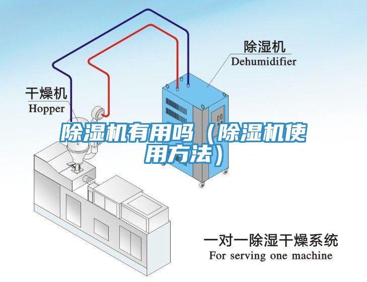 小黄片软件免费下载有用嗎（小黄片软件免费下载使用方法）