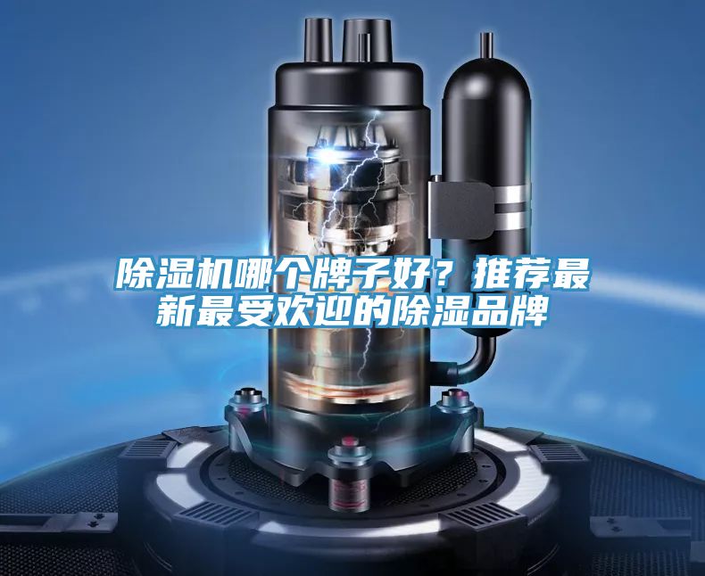 小黄片软件免费下载哪個牌子好？推薦最新最受歡迎的除濕品牌
