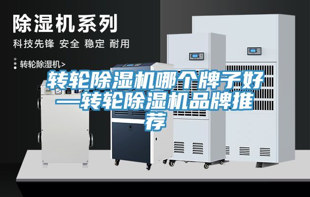 轉輪小黄片软件免费下载哪個牌子好—轉輪小黄片软件免费下载品牌推薦