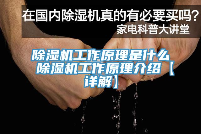 小黄片软件免费下载工作原理是什麽 小黄片软件免费下载工作原理介紹【詳解】