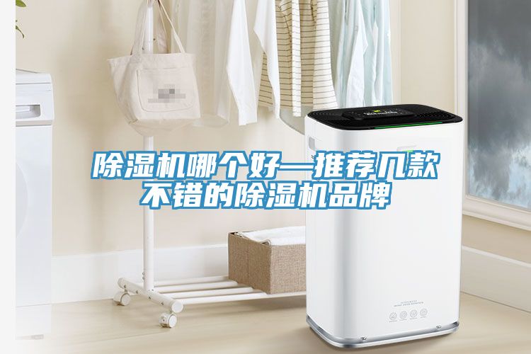 小黄片软件免费下载哪個好—推薦幾款不錯的小黄片软件免费下载品牌