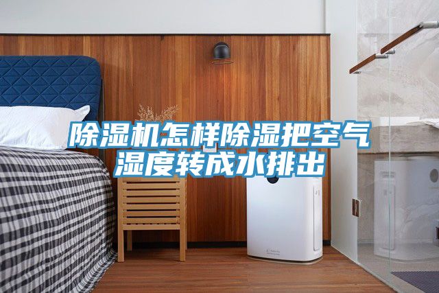 小黄片软件免费下载怎樣除濕把空氣濕度轉成水排出