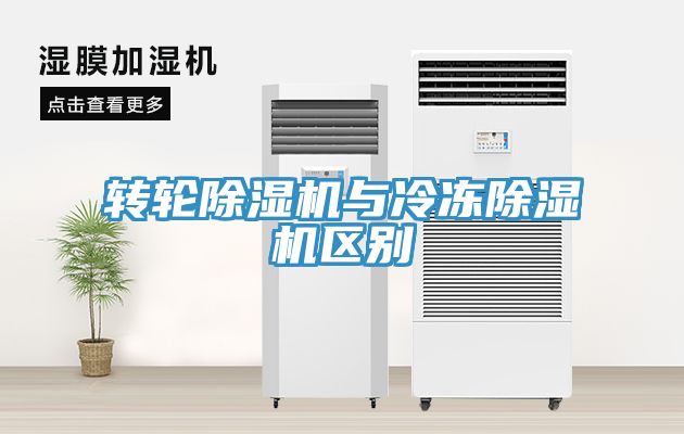 轉輪小黄片软件免费下载與冷凍小黄片软件免费下载區別
