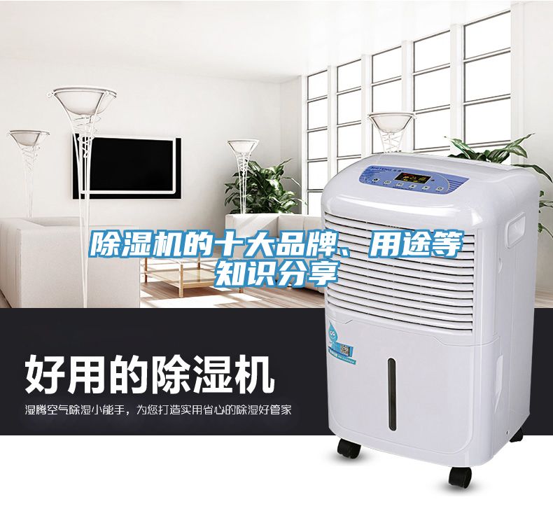 小黄片软件免费下载的十大品牌、用途等知識分享