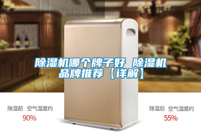 小黄片软件免费下载哪個牌子好 小黄片软件免费下载品牌推薦【詳解】