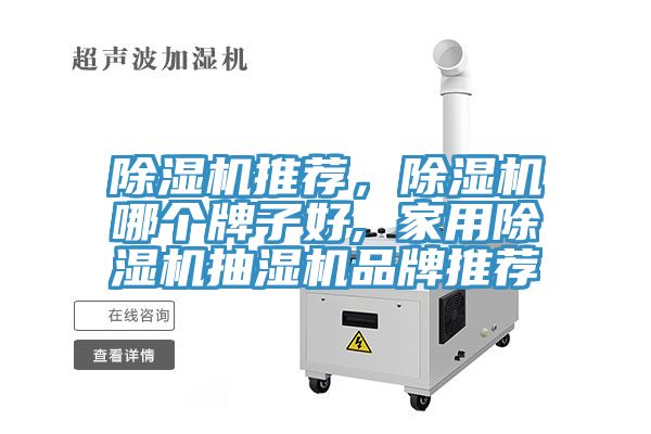 小黄片软件免费下载推薦，小黄片软件免费下载哪個牌子好, 家用小黄片软件免费下载抽濕機品牌推薦