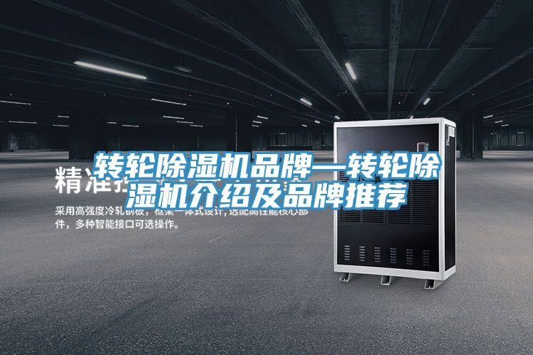 轉輪小黄片软件免费下载品牌—轉輪小黄片软件免费下载介紹及品牌推薦