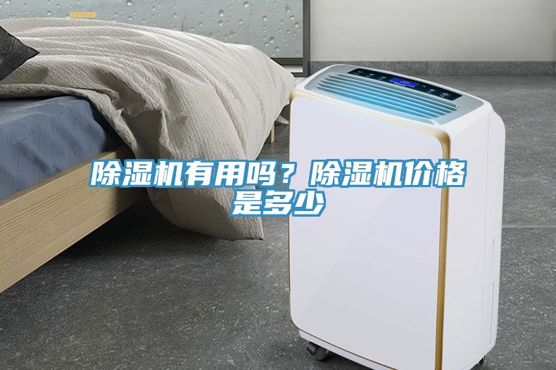 小黄片软件免费下载有用嗎？小黄片软件免费下载價格是多少