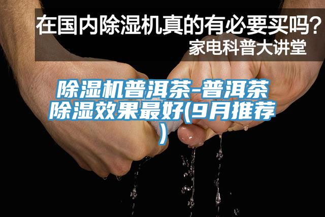 小黄片软件免费下载普洱茶-普洱茶除濕效果最好(9月推薦)