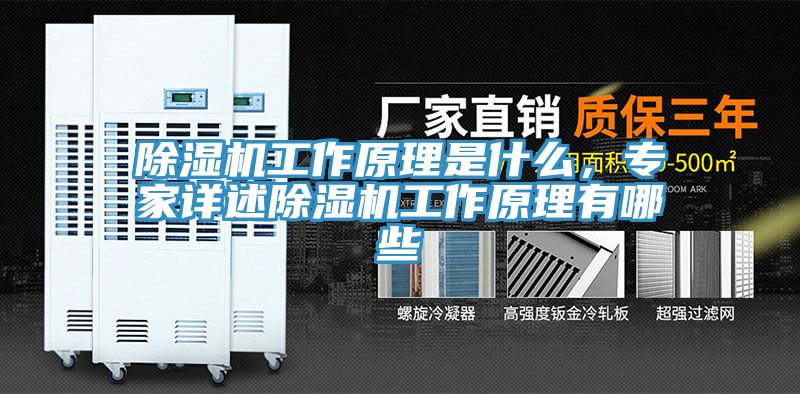 小黄片软件免费下载工作原理是什麽，專家詳述小黄片软件免费下载工作原理有哪些