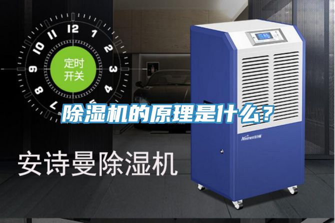 小黄片软件免费下载的原理是什麽？