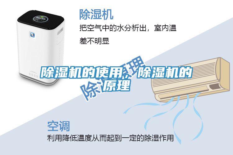 小黄片软件免费下载的使用，小黄片软件免费下载的原理