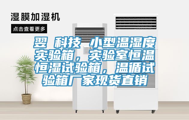 翌昇科技 小型溫濕度實驗箱，實驗室恒溫恒濕試驗箱，溫循試驗箱廠家現貨直銷