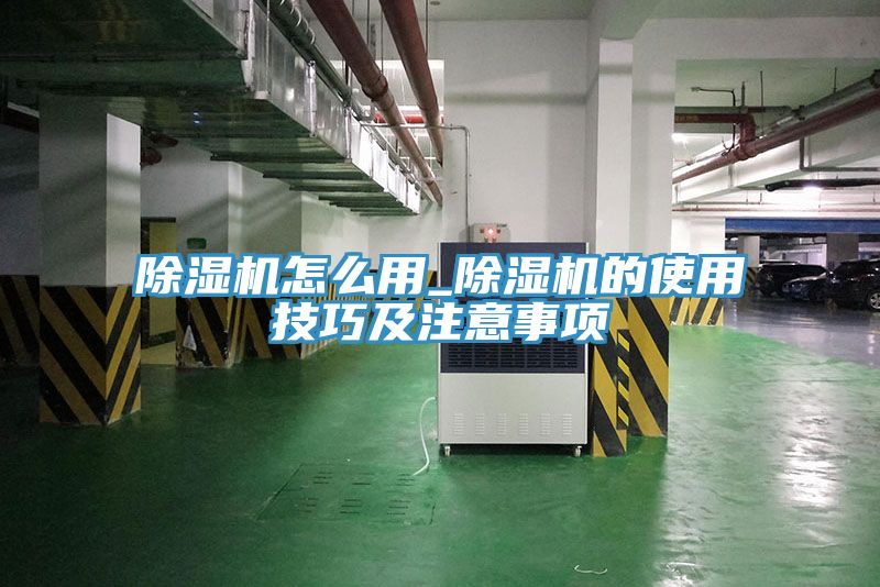 小黄片软件免费下载怎麽用_小黄片软件免费下载的使用技巧及注意事項
