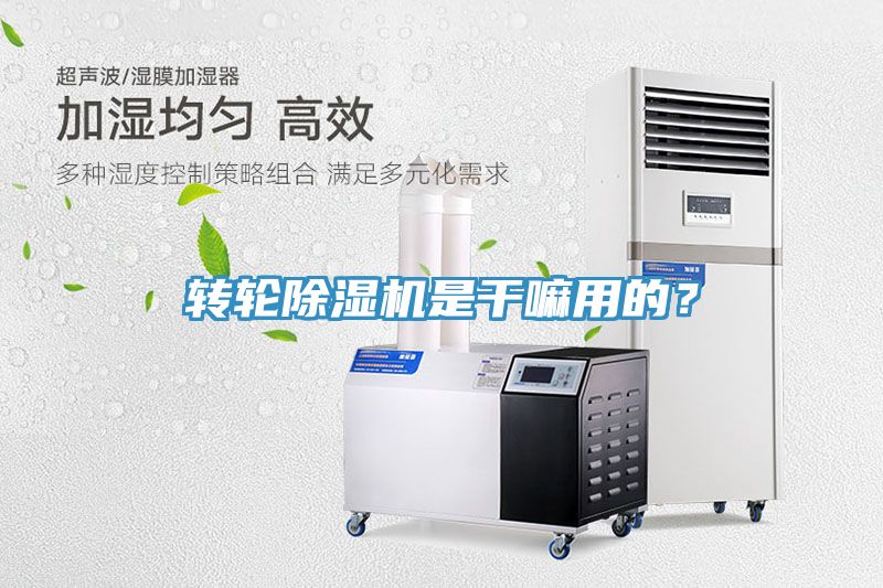 轉輪小黄片软件免费下载是幹嘛用的？