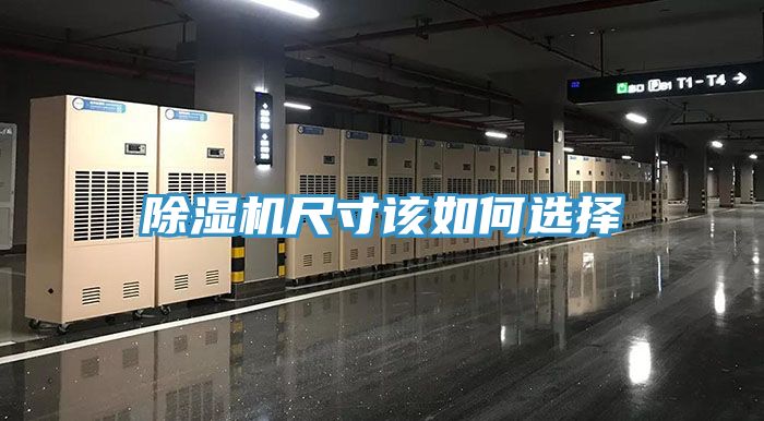 小黄片软件免费下载尺寸該如何選擇