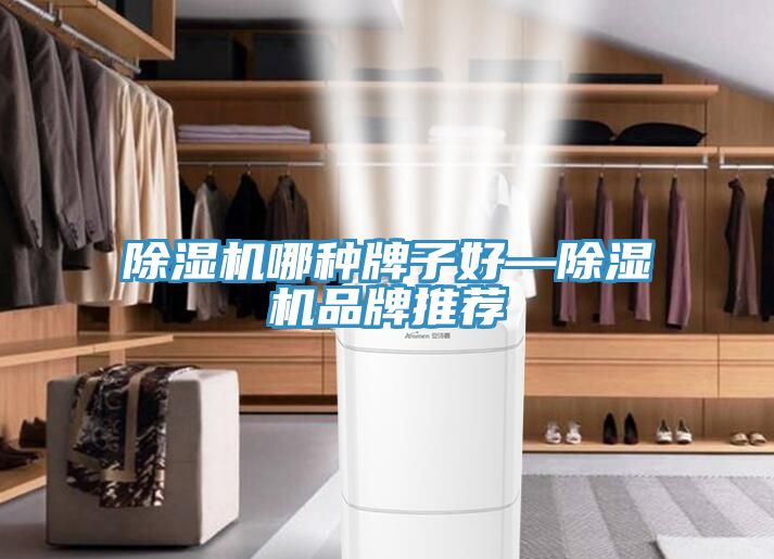 小黄片软件免费下载哪種牌子好—小黄片软件免费下载品牌推薦