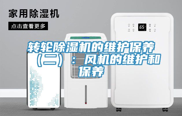 轉輪小黄片软件免费下载的維護保養（二）：風機的維護和保養