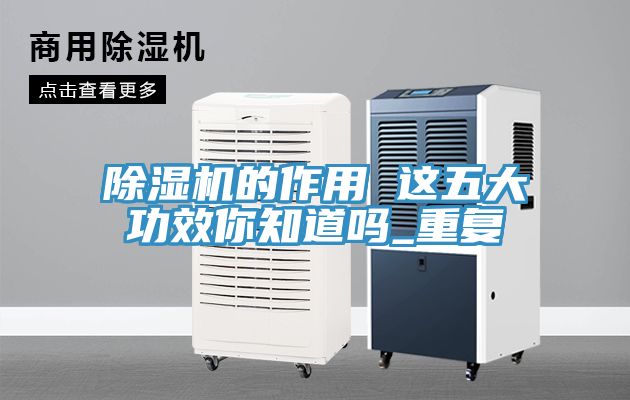 小黄片软件免费下载的作用 這五大功效你知道嗎_重複