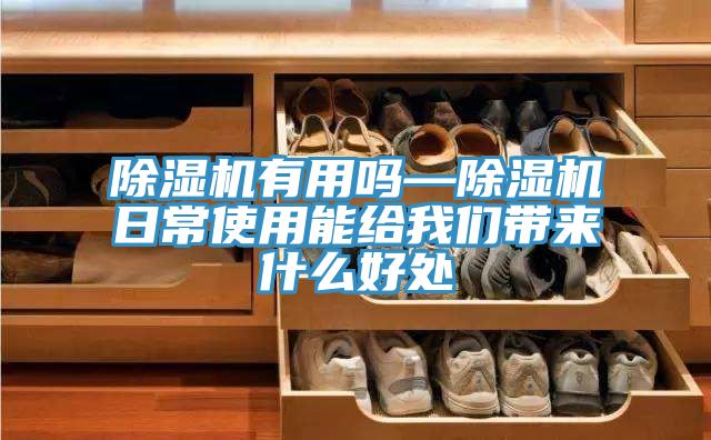 小黄片软件免费下载有用嗎—小黄片软件免费下载日常使用能給小黄片怎么下载帶來什麽好處