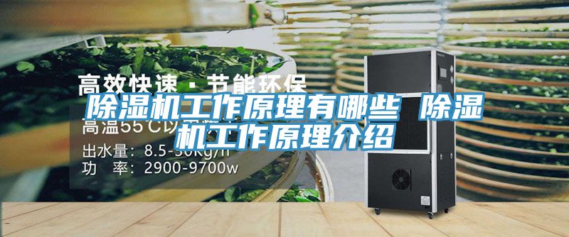 小黄片软件免费下载工作原理有哪些 小黄片软件免费下载工作原理介紹