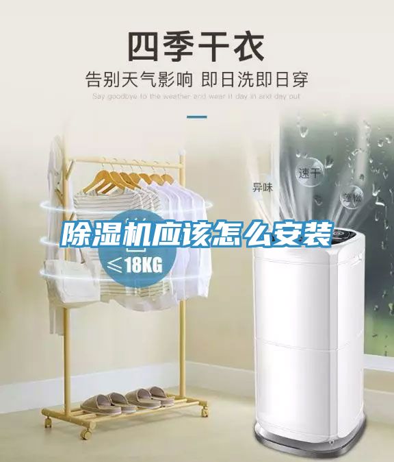 小黄片软件免费下载應該怎麽安裝