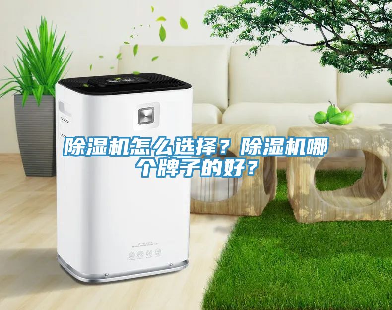小黄片软件免费下载怎麽選擇？小黄片软件免费下载哪個牌子的好？
